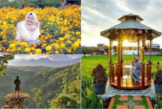 Melihat Surga Tersembunyi di Jombang! 5 Wisata Baru 2025 yang Wajib Dikunjungi