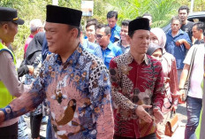 Madani Jilid II, Joncik Fokus Bangun Tebing Tinggi