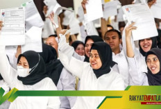 Perbedaan PPPK Paruh Waktu dan Penuh Waktu, Solusi Efisiensi dan Fleksibilitas ASN