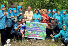 Kebun Pala Desa Galang Jadi Komoditas Unggulan