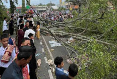 Tragedi Salat Ied di Pemalang: Pohon Tumbang Timpa Jamaah, Korban Jiwa Masih Simpang Siur