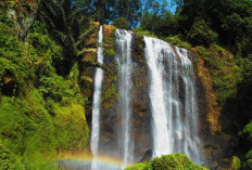 Wisata Alam : Curug Sewu, Air Terjun Tertinggi di Jawa Tengah yang Cocok untuk Libur Lebaran 2025