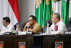 Dorong Pemda Biayai Koperasi Merah Putih Lewat BTT