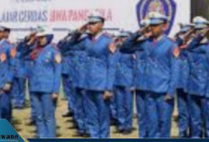 Pendaftaran Sekolah Kedinasan Ditutup Besok! Ini 7 Sekolah dengan Peluang Lolos Terbesar Tahun 2025