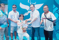 Tim Renang Sumsel Sukses Sumbang Emas dan Perak