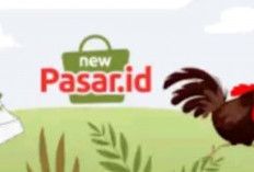 Aplikasi New Pasar.id: Solusi Belanja Online untuk Pedagang Pasar Tradisional