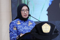677.593 Tenaga Honorer Diangkat Jadi PPPK pada 2025, MenPAN-RB Umumkan