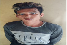 Satroni Rumah Warga, Buruh Harian Lepas Diringkus Polsek Terawas