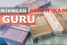 Jangan Sampai Gagal Cair! Ini Syarat Lengkap Tunjangan Sertifikasi Guru Triwulan 2 Tahun 2025