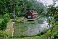 Taman Wisata Bougenville: Surga Tersembunyi di Bandung dengan Pesona Alam yang Wajib Dijelajahi!