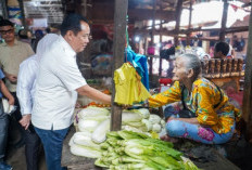 Wagub Cik Ujang Sidak Pasar Km 5
