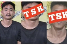 Spesialis Pencurian Motor di Acara Organ Tunggal Ditangkap Polisi