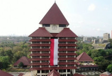 Mahasiswa Wajib Tau, UI Buka Pendaftaran Beasiswa PMDSU 2025 untuk Program S2-S3 dalam 4 Tahun