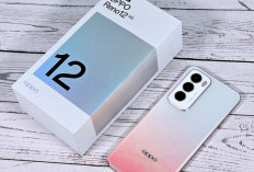 Oppo Reno12 Pro vs Poco F7 Pro: Siapa Raja Foto Malam & Konten Sosmed 2025?