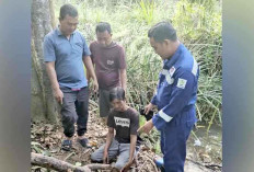 Bocah 4 Tahun Dicabuli Paman Sendiri