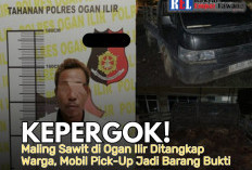 KEPERGOK! Maling Sawit di Ogan Ilir Ditangkap Warga, Mobil Pick-Up Jadi Barang Bukti