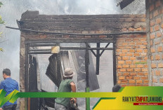 BREAKING NEWS: Rumah Petani di Kelumpang Jaya Ludes Terbakar, Api Diduga Berawal dari Dapur