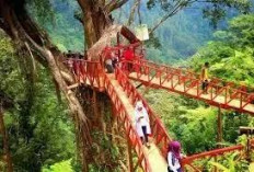 4 Rekomendasi Wisata Batang: Jelajahi Keindahan Alam dan Budaya yang Menawan