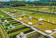 Empat Tempat Wisata Populer di Magelang yang Wajib Dikunjungi di 2024