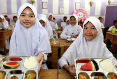 MBG Tetap Jalan Saat Libur Sekolah Dinilai Merepotkan, Wakil BGN Tegaskan Tak Ada Paksaan: Kalau Mau Ya Ambil