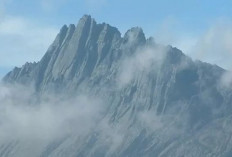 Mendaki Puncak Carstensz, Siapkan Dana Rp80 Juta, Nyawa Taruhannya!