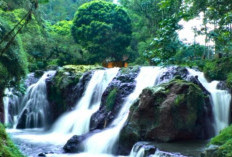 5 Curug Eksotis di Jawa Barat yang Wajib Dikunjungi, Udara Sejuk dan Pemandangan Memukau