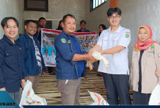 Dukung Ketahanan Pangan Nasional, Dinsos Empat Lawang Bagikan Itik Petelur untuk Pemuda Karang Taruna