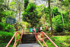 Kebun Raya Gunung Tidar Tetap Buka Saat Retret Kepala Daerah, Destinasi Religi Ini Jadi Favorit Sebelum Ramada