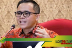 Finalisasi Kesepakatan MenPAN RB dan BKN: Hanya Honorer yang Penuhi Syarat Ini Berhak Terima NIP PPPK