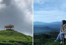Bukit Tungguan, Destinasi Wisata Terbaru di Kota Pagar Alam