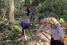 Penemuan Kerangka Manusia di Kebun Desa Durian Remuk, Muara Beliti