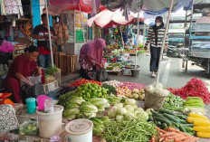 Harga Sayur Meroket, Imbas Kemarau Panjang