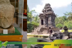 Penemuan Arca Raksasa di Wonosobo: Menguak Sejarah Jawa yang Terpendam.