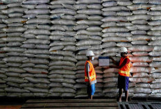 Serapan Gabah Lampaui 100% Target Harian, Firliana: Pemerintah Tak Perlu Khawatir Darurat Pangan