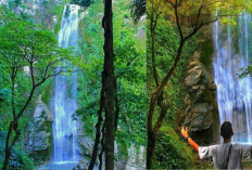 Pesona Air Terjun Laiwi: Destinasi Eksotis yang Tak Boleh Dilewatkan di NTT