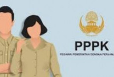 Resmi! Gaji PPPK 2025 Naik, Cek Rincian Lengkap Berdasarkan Golongan dan Pendidikan