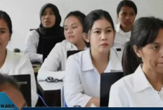 CPNS 2026 Kapan Dibuka? Pemerintah Pastikan Fresh Graduate Tetap Punya Peluang Besar