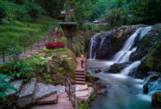 Ini 5 Destinasi Wisata Alam yang Menakjubkan di Bandung, Nomor 5 Bikin Kagum