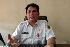 Belasan Ekor Kerbau di Lahat Mati Terjangkit Penyakit Ngorok