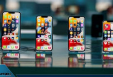 iPhone 13 Kini Lebih Murah dari iPhone 12! Ini Penyebab dan Daftar Harganya di Juni 2025