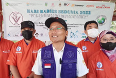 Hantavirus Ancam Sumsel, Sanitasi Disorot