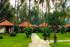 Hemat dan Nyaman, Ini 5 Rekomendasi Hotel Murah di Banyuwangi