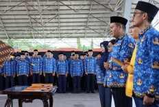 Jadwal Terbaru Pengangkatan CPNS 2024 dan PPPK 2025 Resmi Ditunda, Ini Alasannya