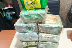 Satres Narkoba Polrestabes Palembang Sita 10,3 Kg Sabu Dari Tangan Kurir