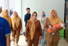 Geger! Bayi Perempuan Ditemukan Terlantar di Pinggir Jalan Empat Lawang, Dirawat Intensif di RSUD