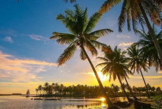 Libur Lebaran di Pantai Tiku: Lautan Pengunjung, Kuliner Lezat, dan Sunset yang Memukau