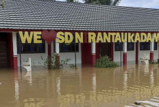 Banjir Rendam 31 Sekolah di Muratara