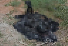 Warga Gelumbang Heboh, Temukan Mayat Gosong di Dekat TPU