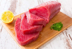 8 Manfaat Ikan Tuna, Cegah Anemia hingga Atasi Stres