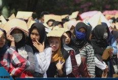 Fenomena Ironis! Lulusan Sarjana di Korea Selatan Kini Lebih Sulit Dapat Kerja Dibanding Lulusan SMP